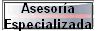Asesor�a 
 Especializada